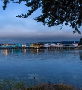 Discover Monterey: A Photographer’s Paradise