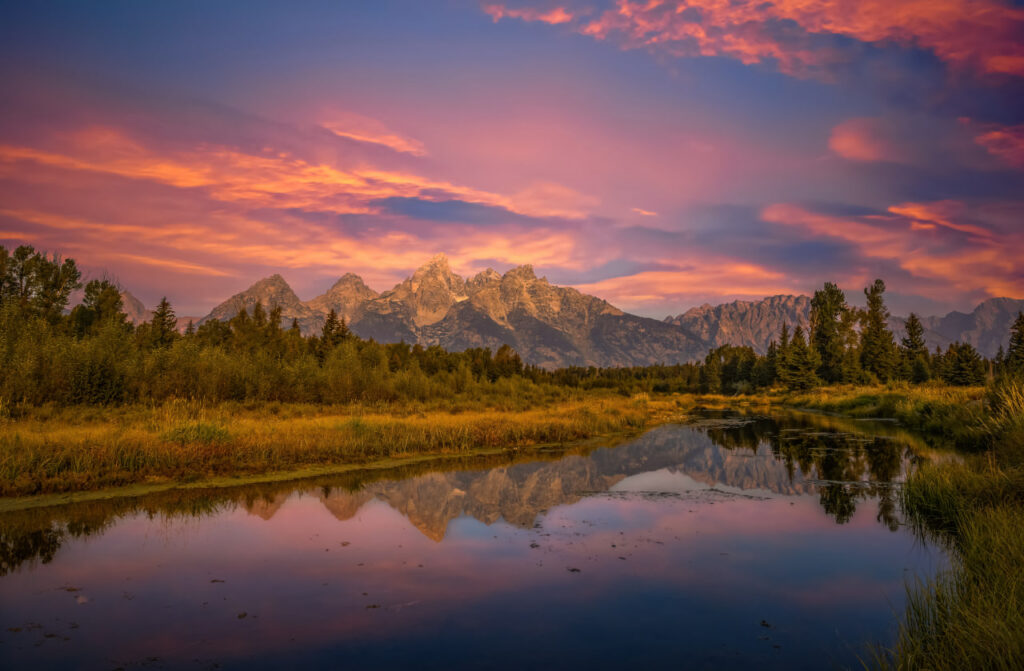 Jagged mountain peaks reflected in still water beneath pink and orange clouds, bordered by golden grasses and evergreen trees.