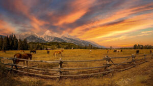 Sunset over the Teton Range in Grand Teton National Park, with dramatic orange and purple clouds above an open golden meadow and rustic wooden fence.